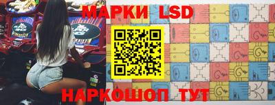 индика Новодвинск