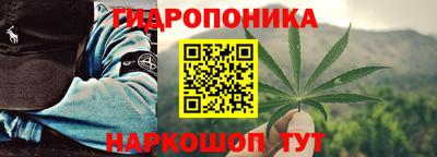 марихуана Новозыбков