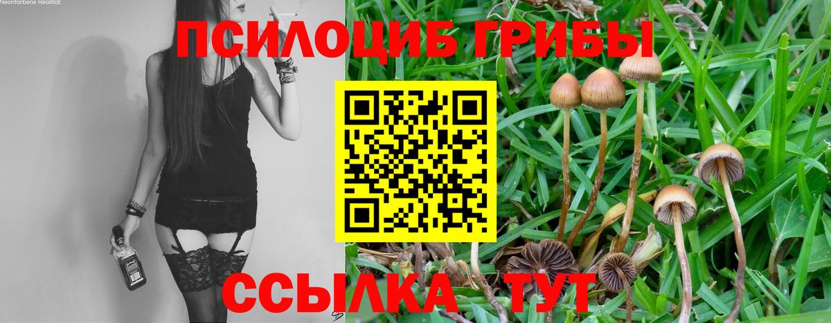 Галлюциногенные грибы мицелий Светлоград