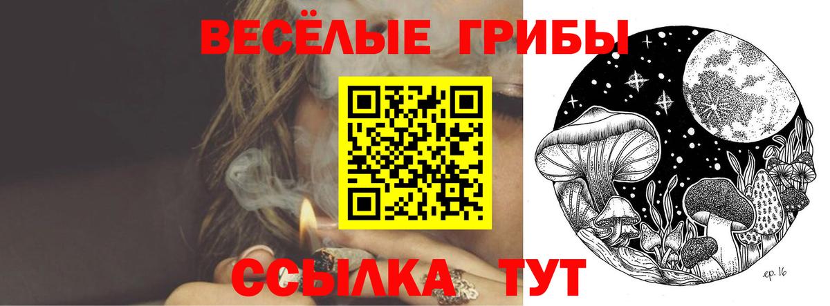 Галлюциногенные грибы Psilocybe  Вход с VPN  Светлоград 